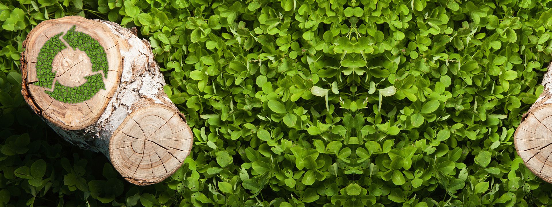 Ambalaj Geri Dönüşüm